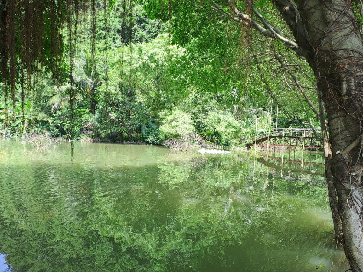 Thung Sen Tam Coc Chalets Ninh Bình Extérieur photo