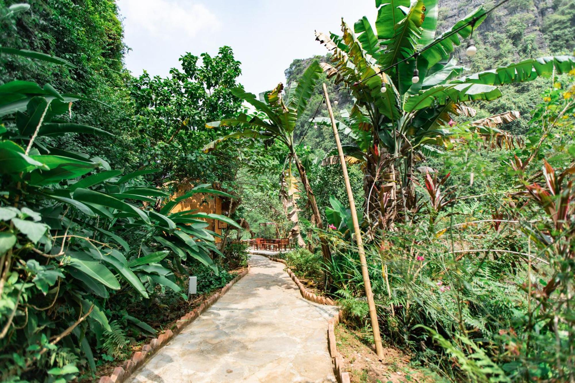 Thung Sen Tam Coc Chalets Ninh Bình Extérieur photo