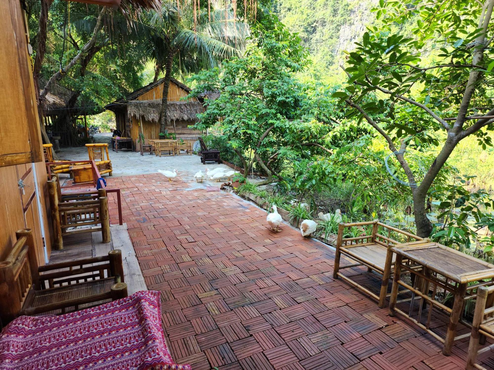 Thung Sen Tam Coc Chalets Ninh Bình Extérieur photo