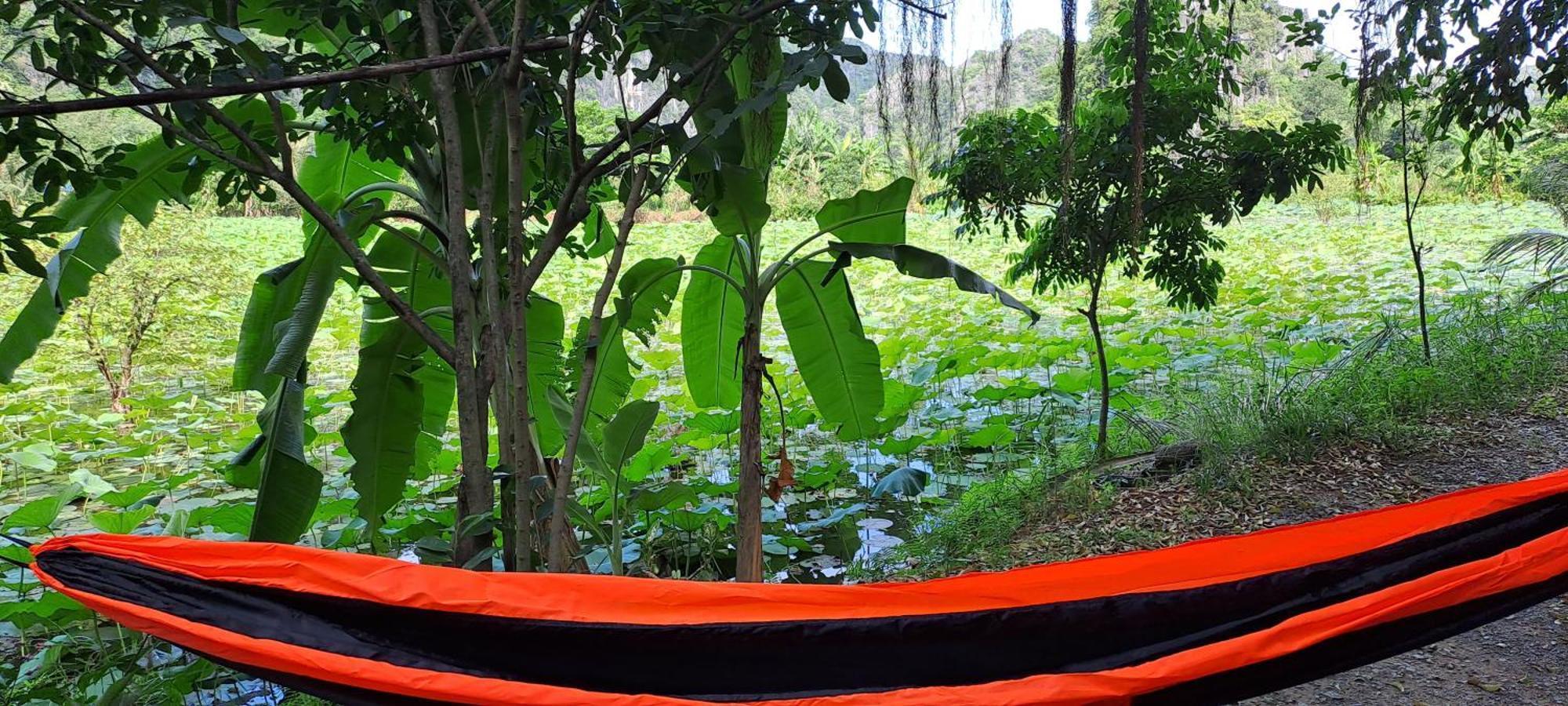 Thung Sen Tam Coc Chalets Ninh Bình Extérieur photo